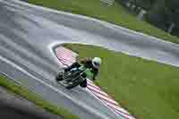 Middle Group Green Bikes